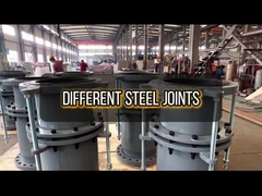 الصلب المشترك